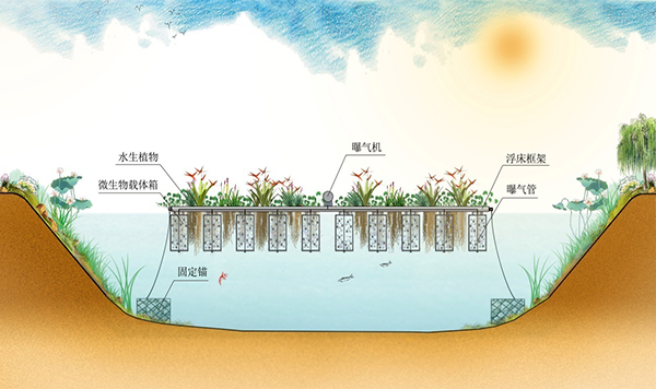 感潮河道水体污染综合修复技术及工程示范